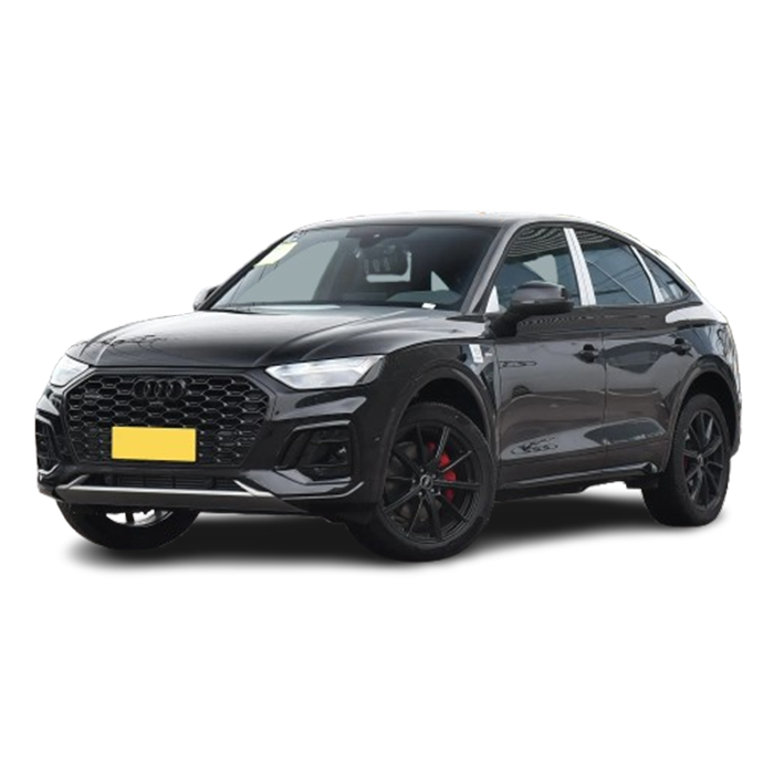 Audi Q5L 2025 45TFSI Luxury Dynamic Edition