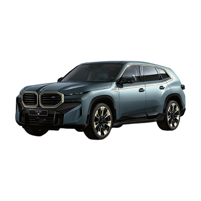 BMW XM 2023 3.0T80km50e