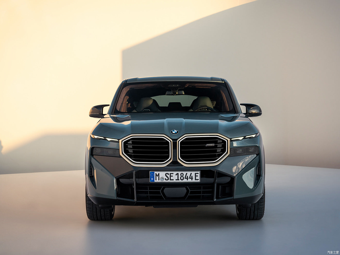 BMW XM 2023 3.0T80km50e