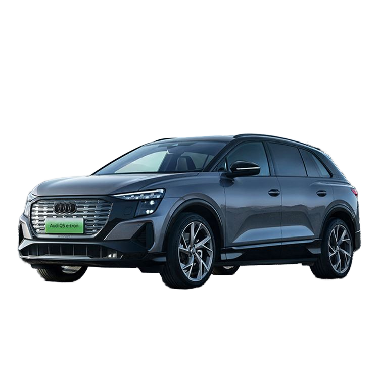 Audi Q5 e-tron 2024 40 e-tron Star Knight Edition Brocade Suit