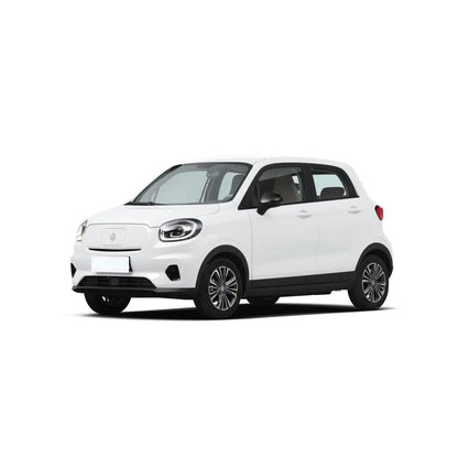 LEAPMOTOR T03 2025 310km310 Comfort Edition