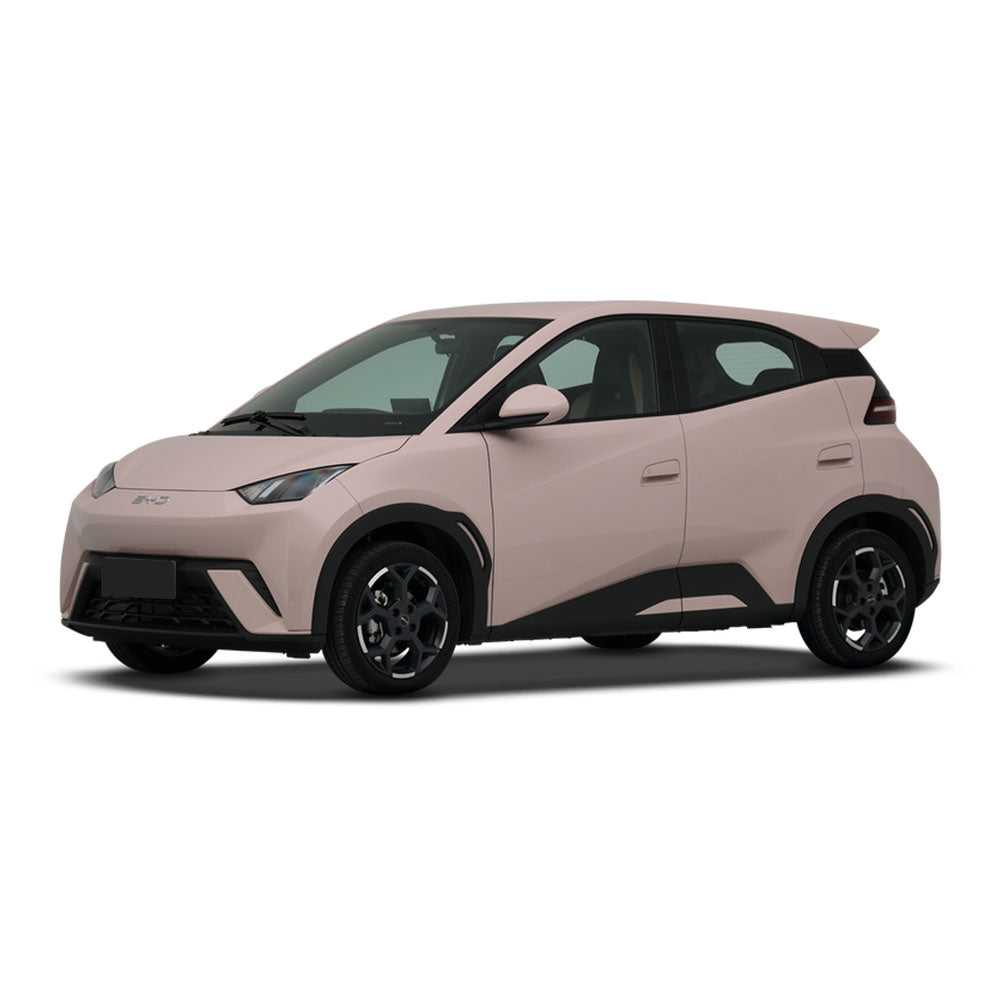 BYD Seagull 2025 Intelligent Driving Edition 405km Flying Edition