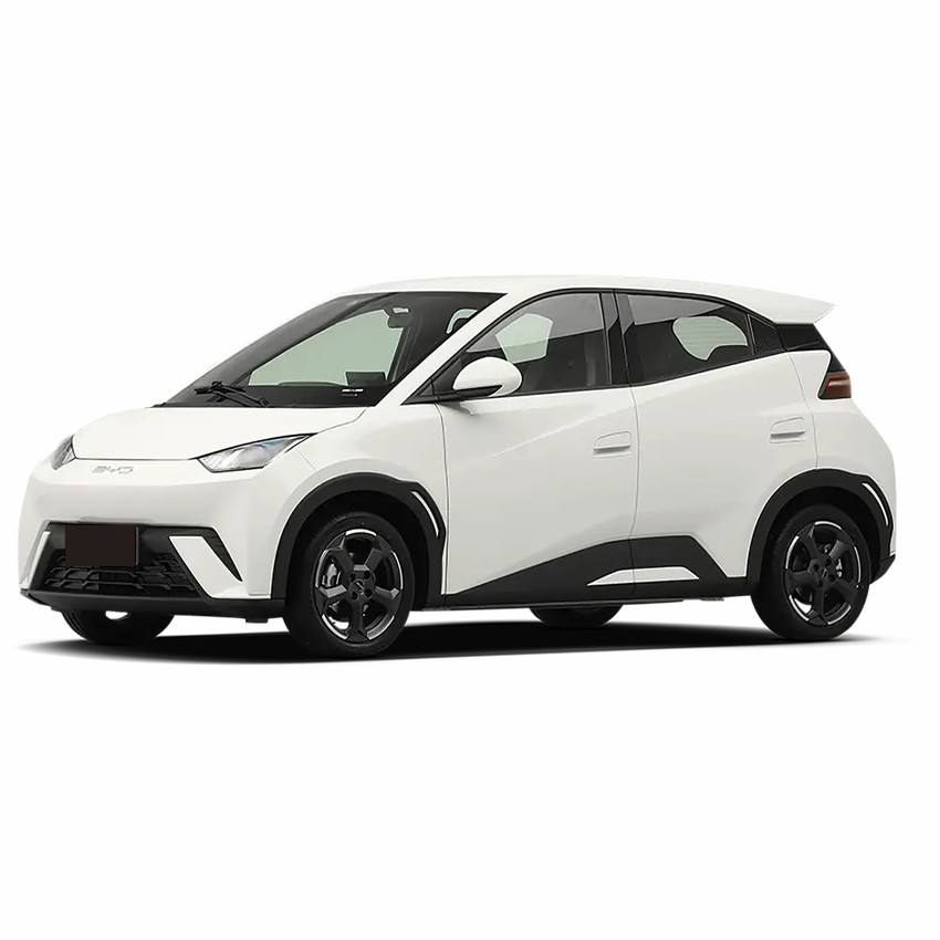 BYD Seagull 2025 Intelligent Driving Edition 405km Flying Edition