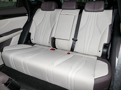 BYD Song PLUS New Energy 2025 EV Smart Driving Edition 520km Pilot Edition