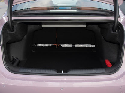 AION RT 2025 650km Smart luxury Edition