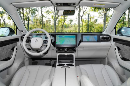 LEAPMOTOR C01 2024 extended range version 1.5L 316km exclusive version