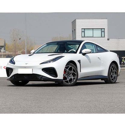 Neta Gt