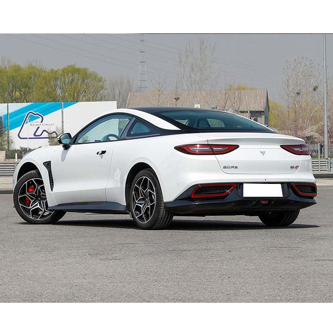 Neta Gt
