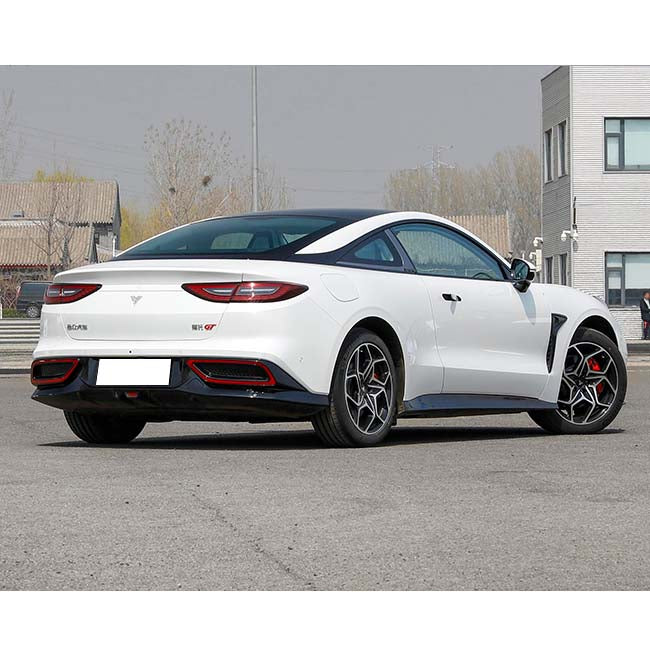 Neta Gt